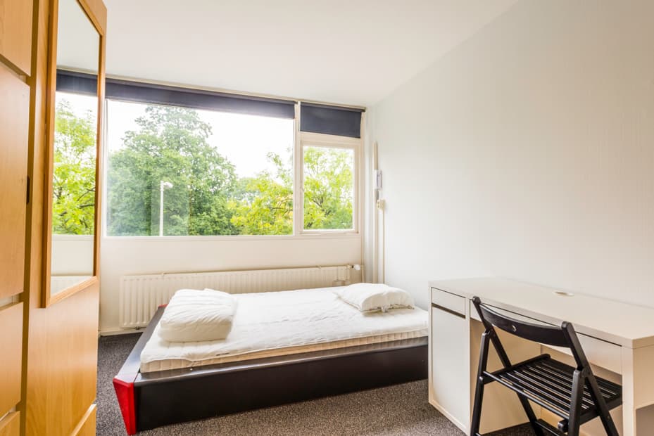 Image of the room