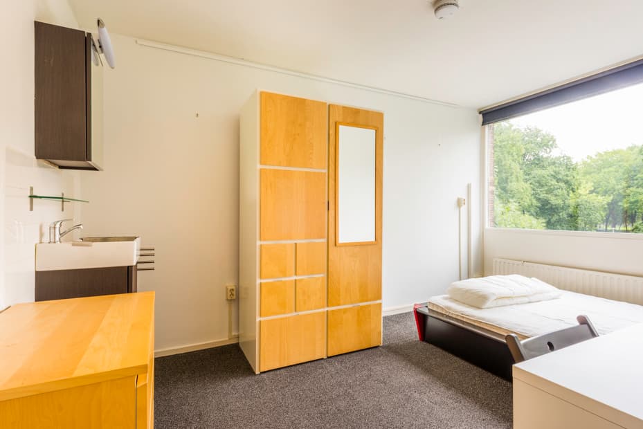 Image of the room