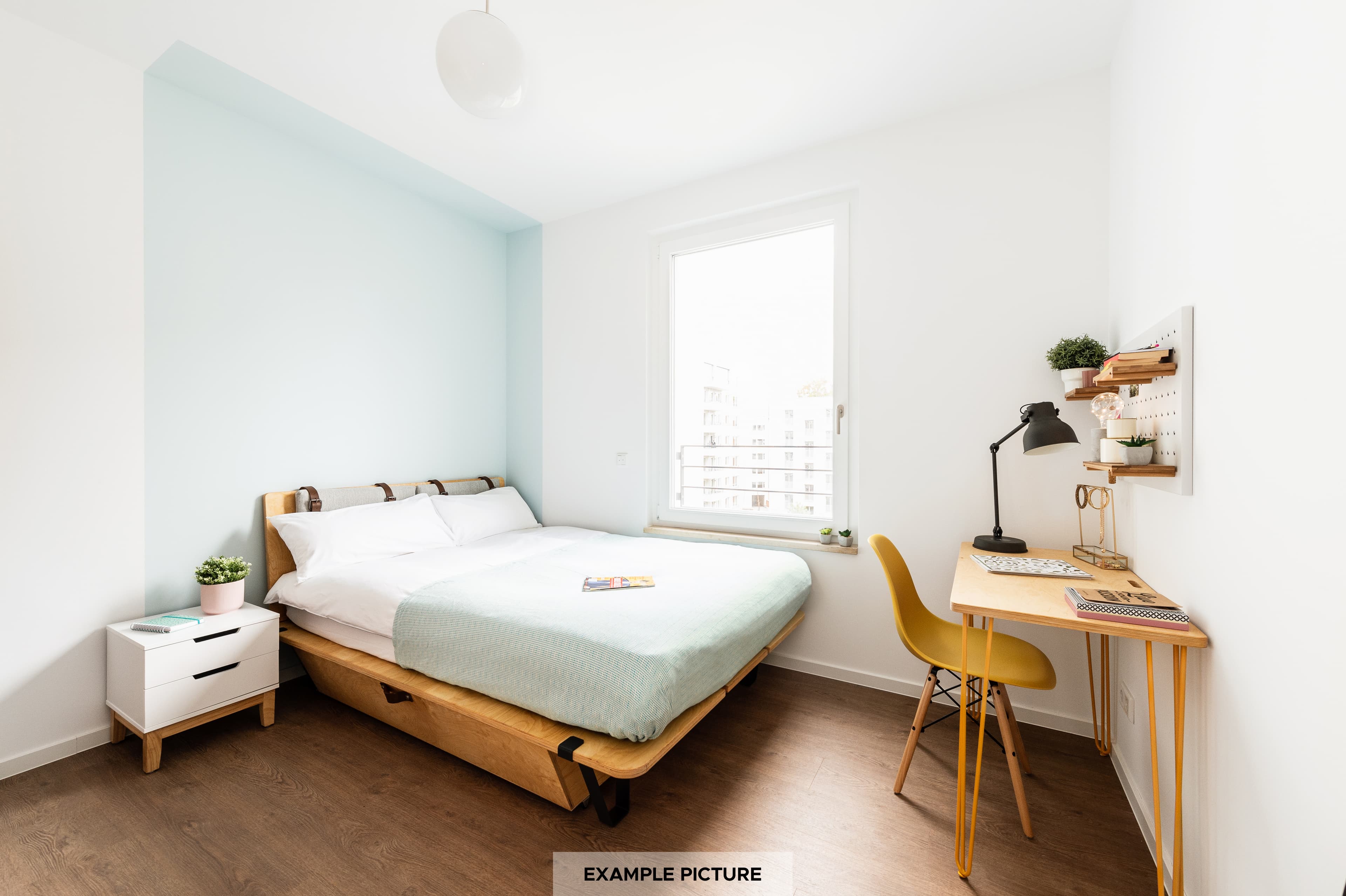 Image of the room