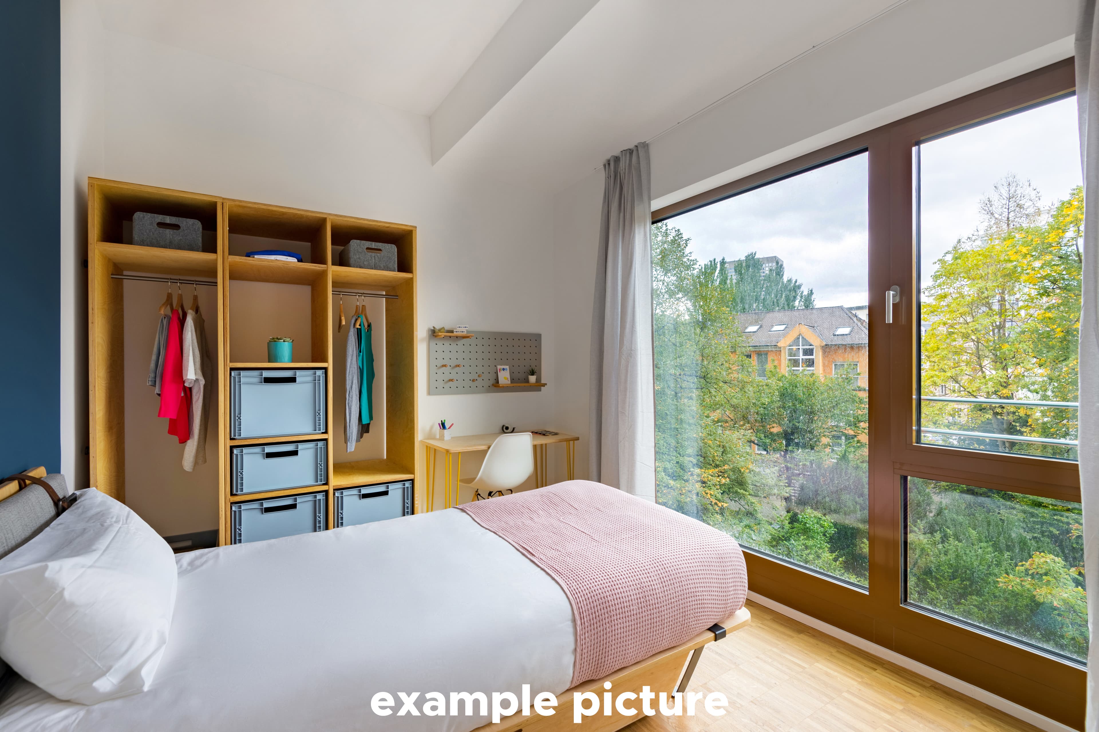 Image of the room