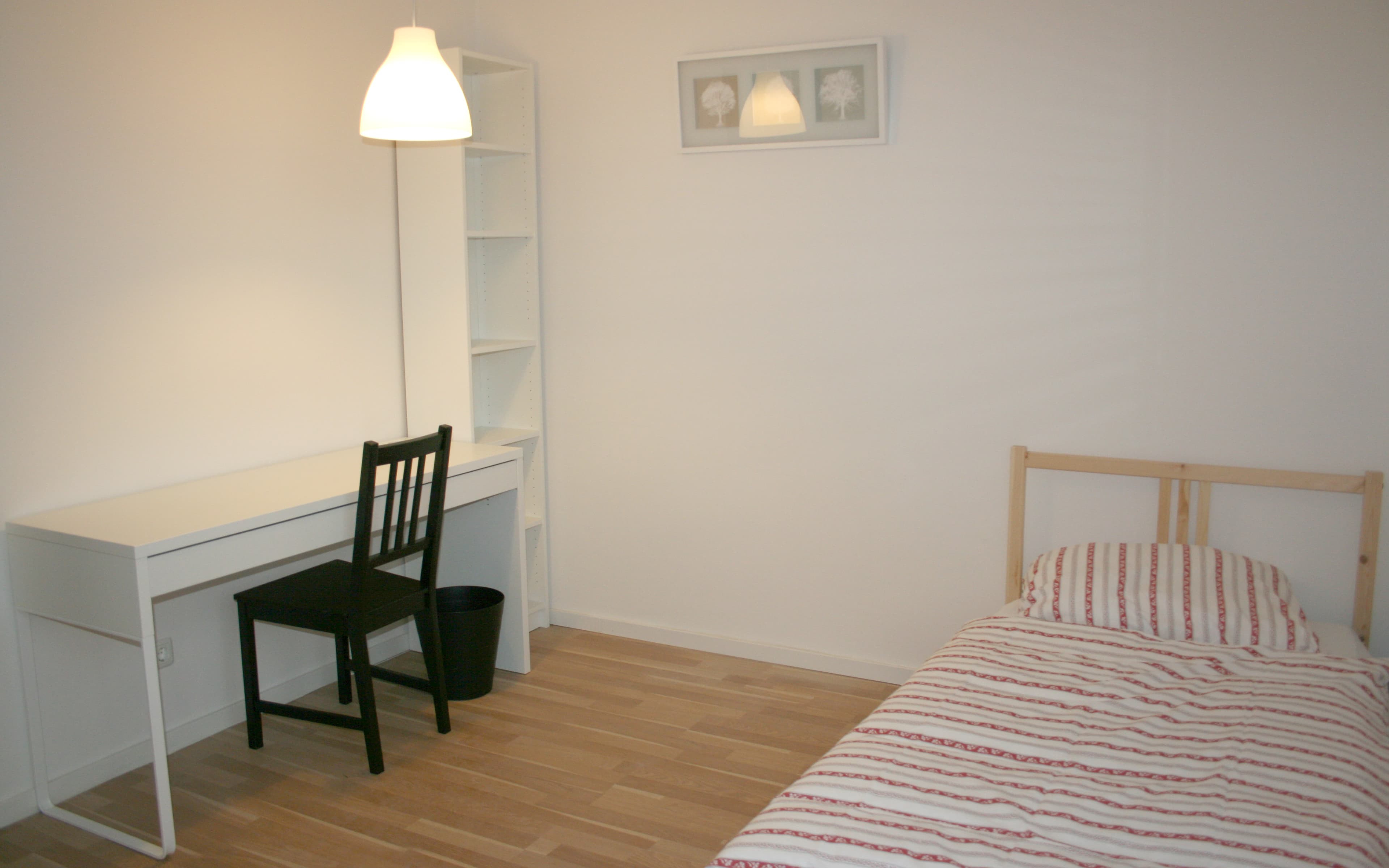 Image of the room