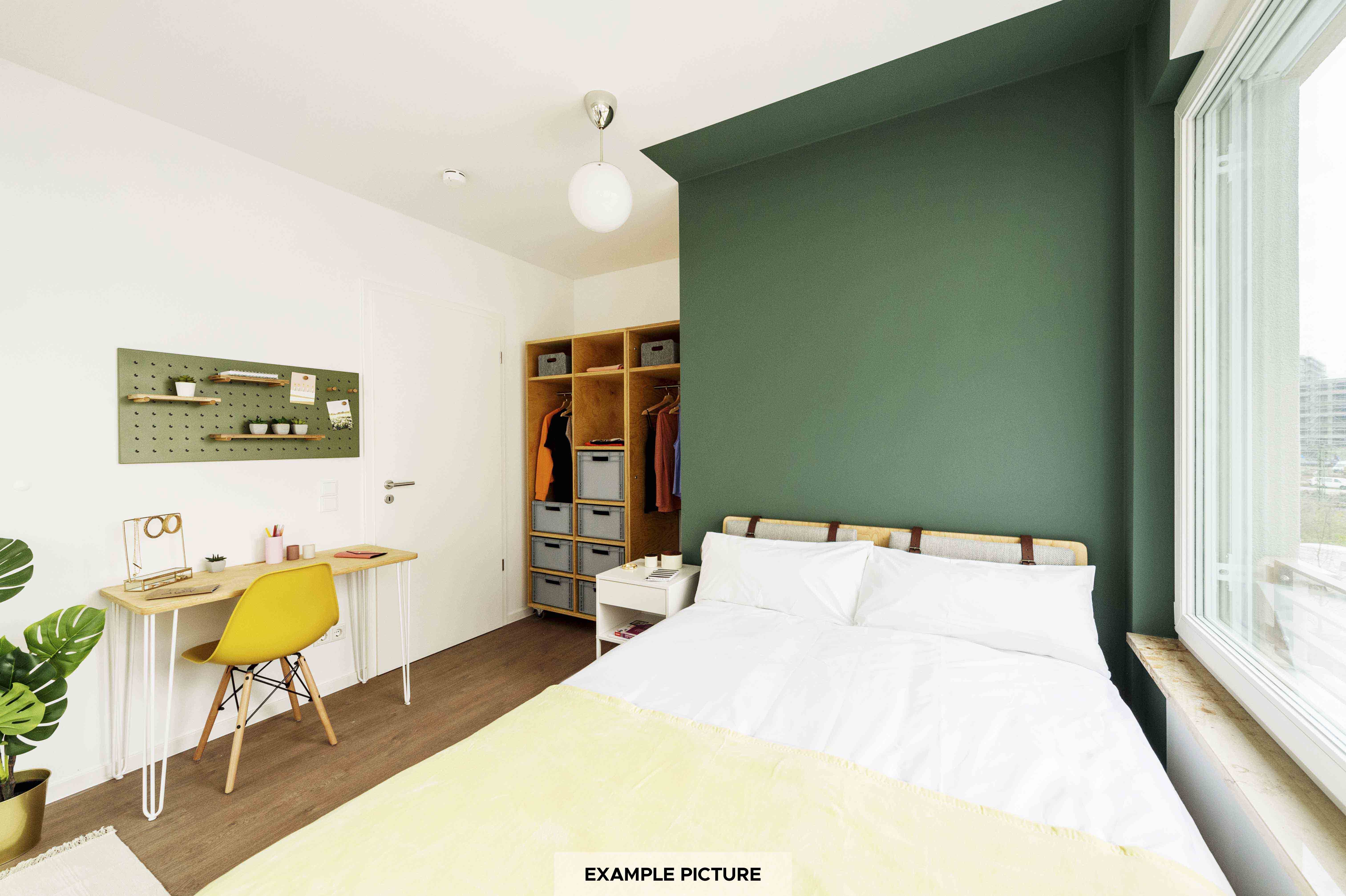 Image of the room