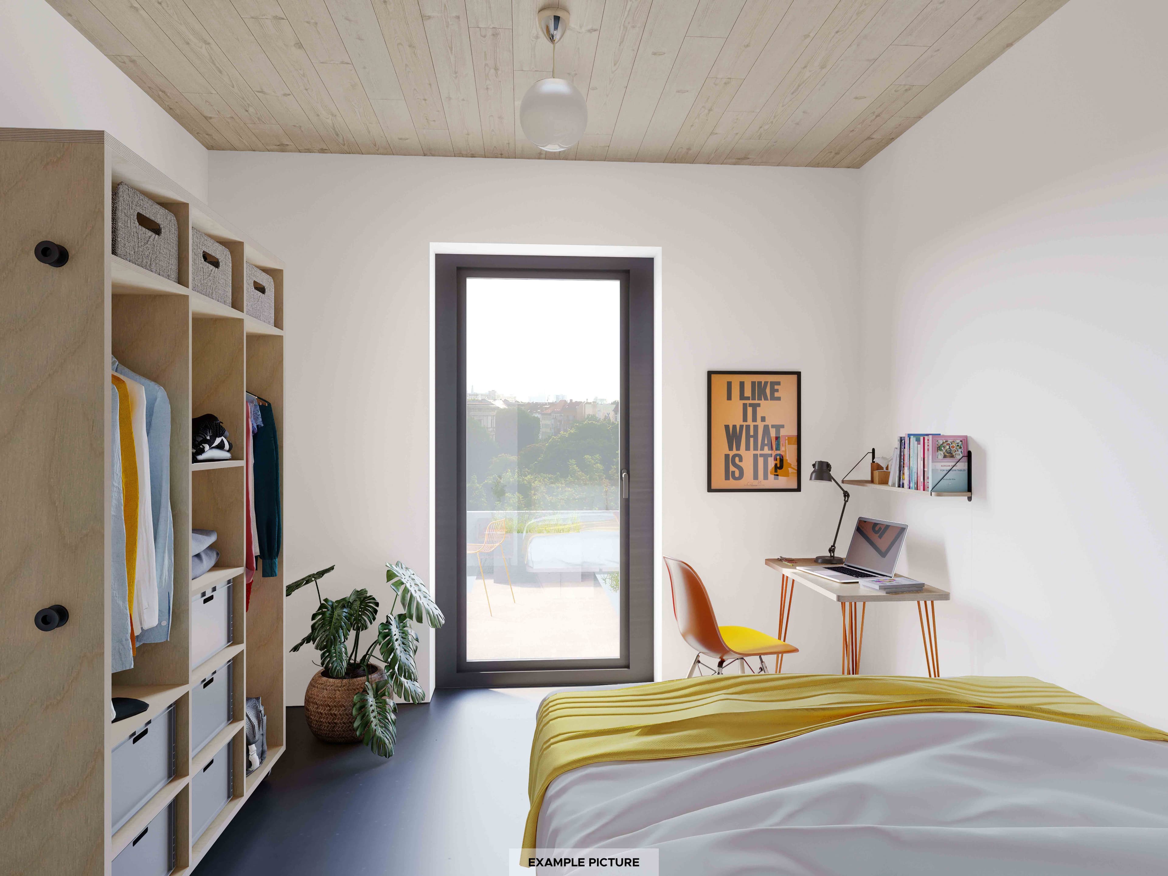 Image of the room