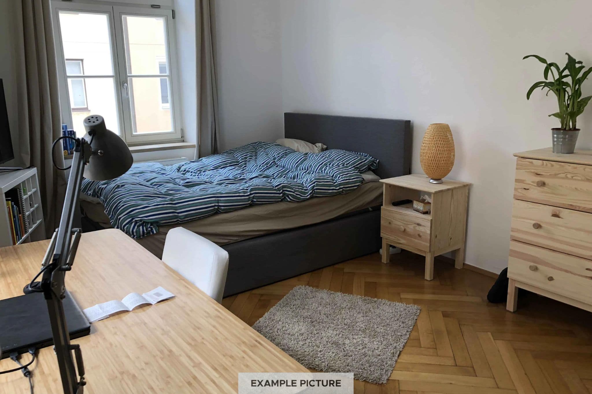 Image of the room