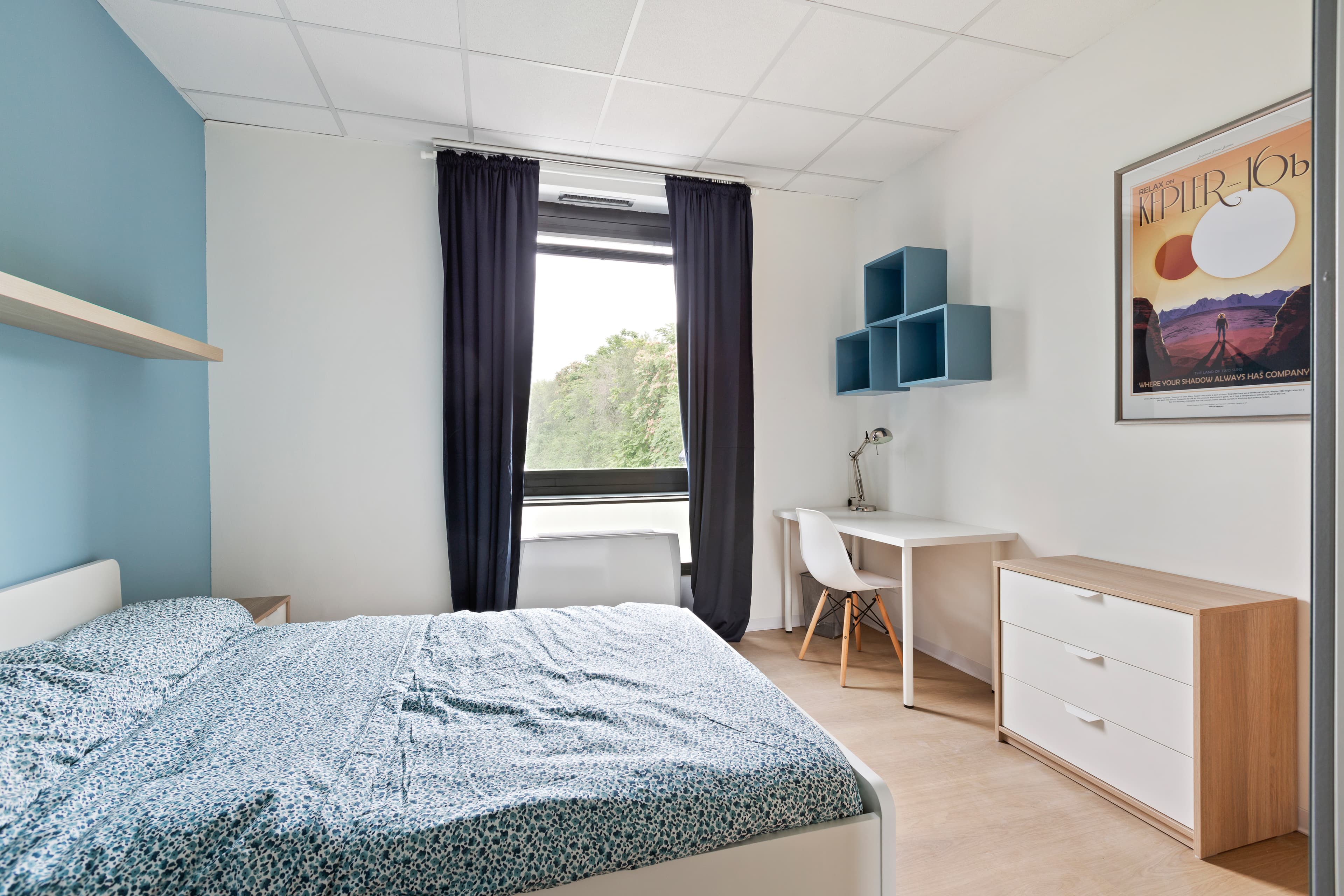 Image of the room
