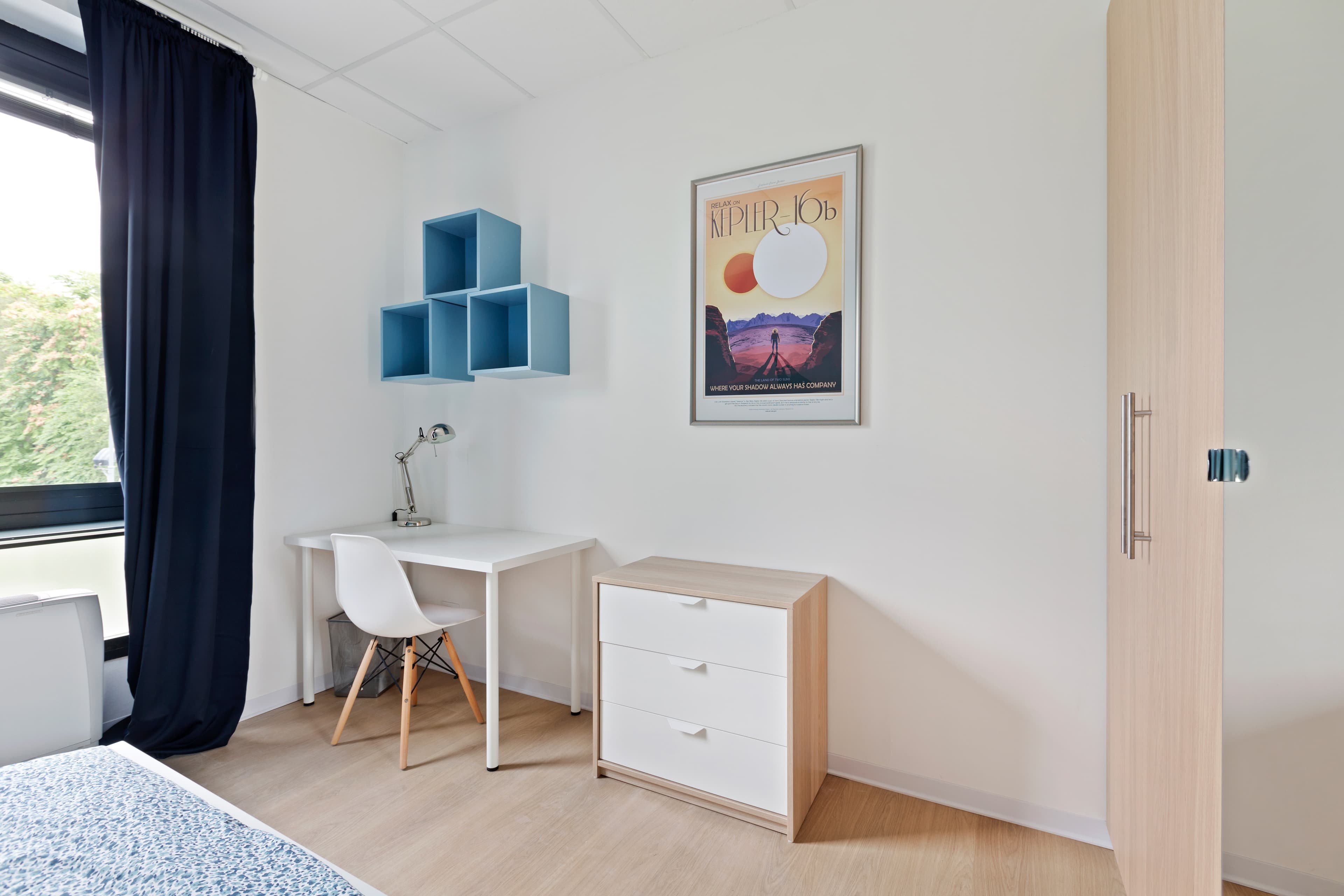 Image of the room