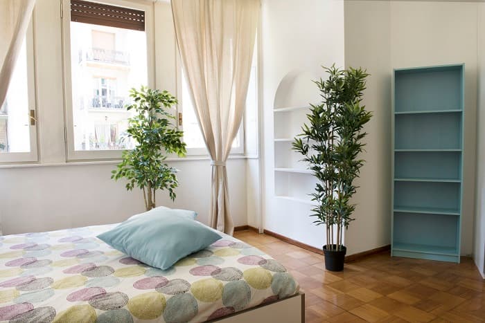 Image of the room