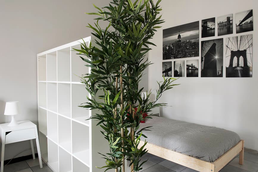 Image of the room