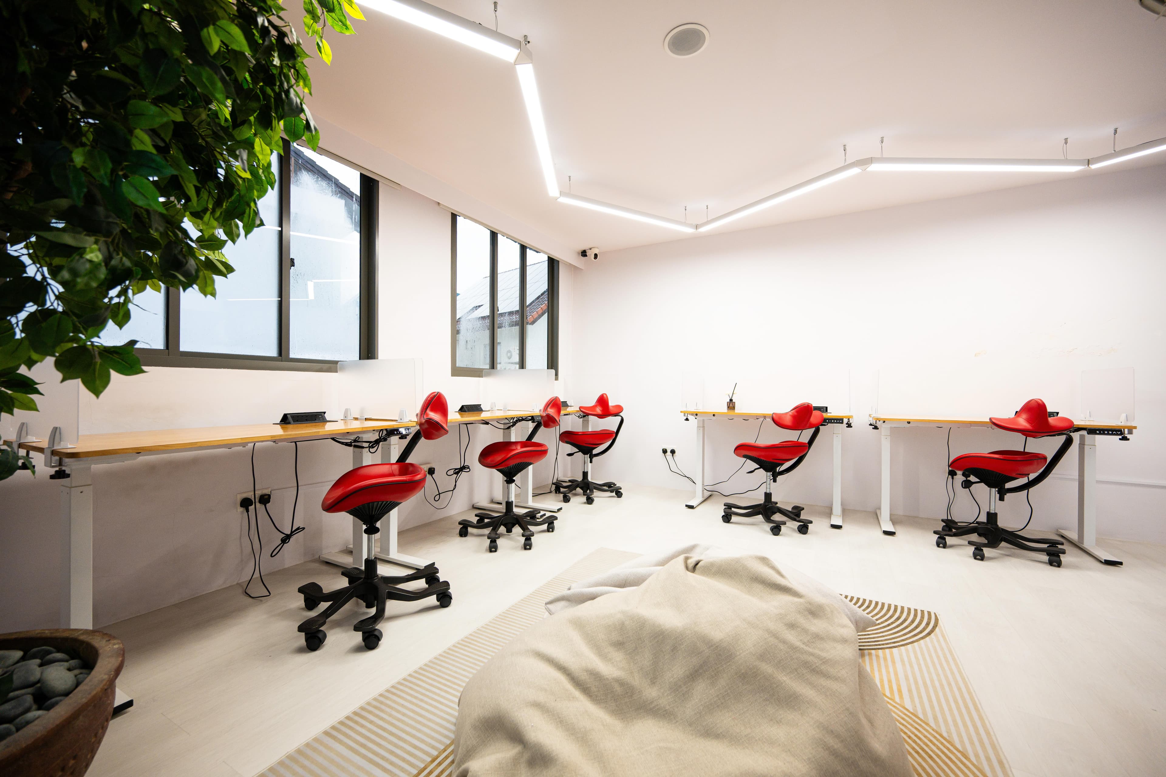 Image of the room