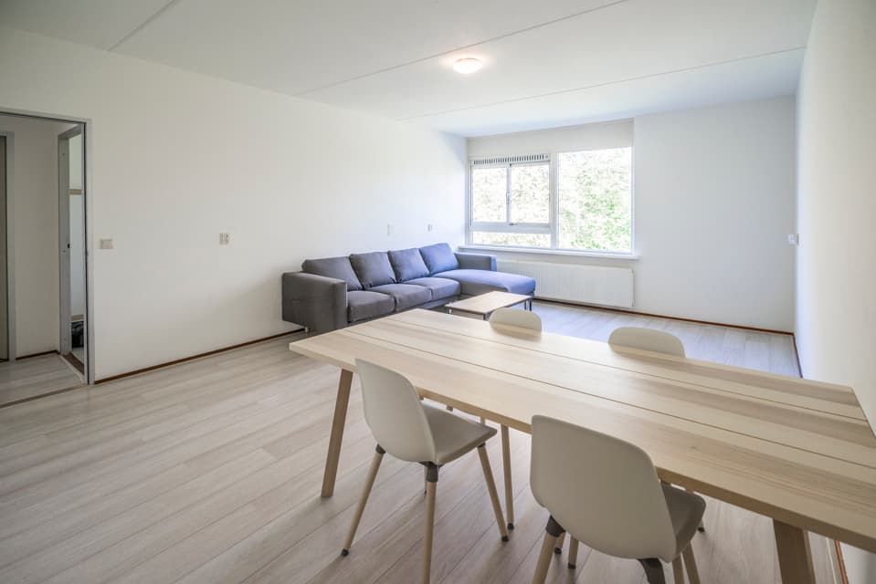 Image of the room