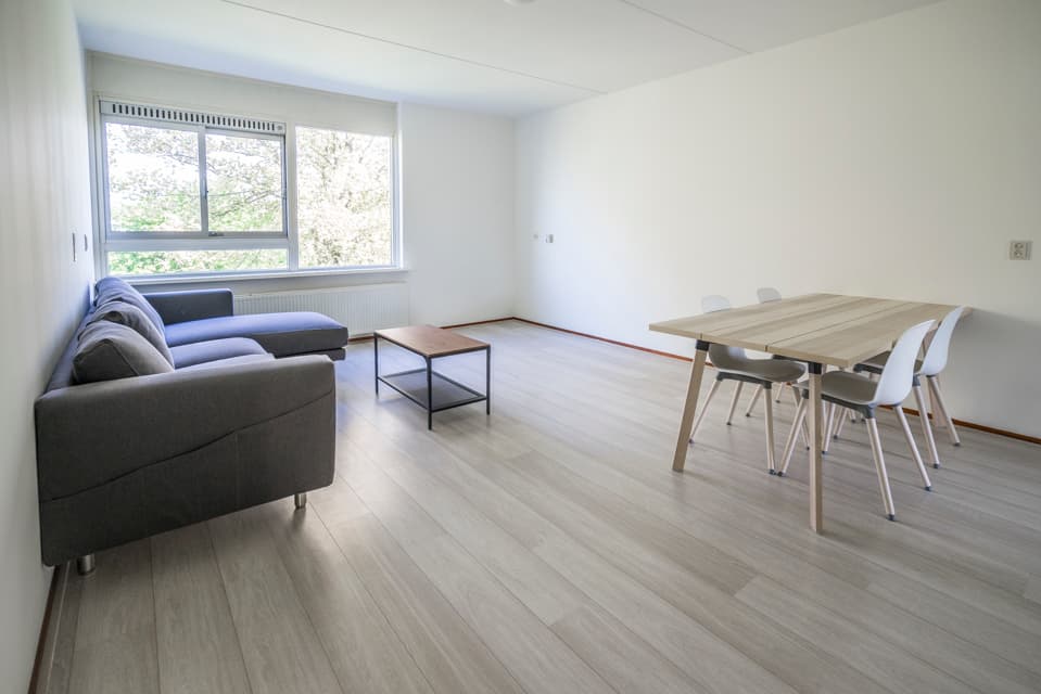 Image of the room