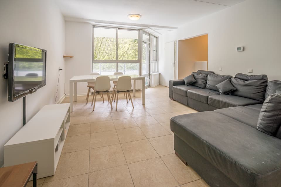 Image of the room