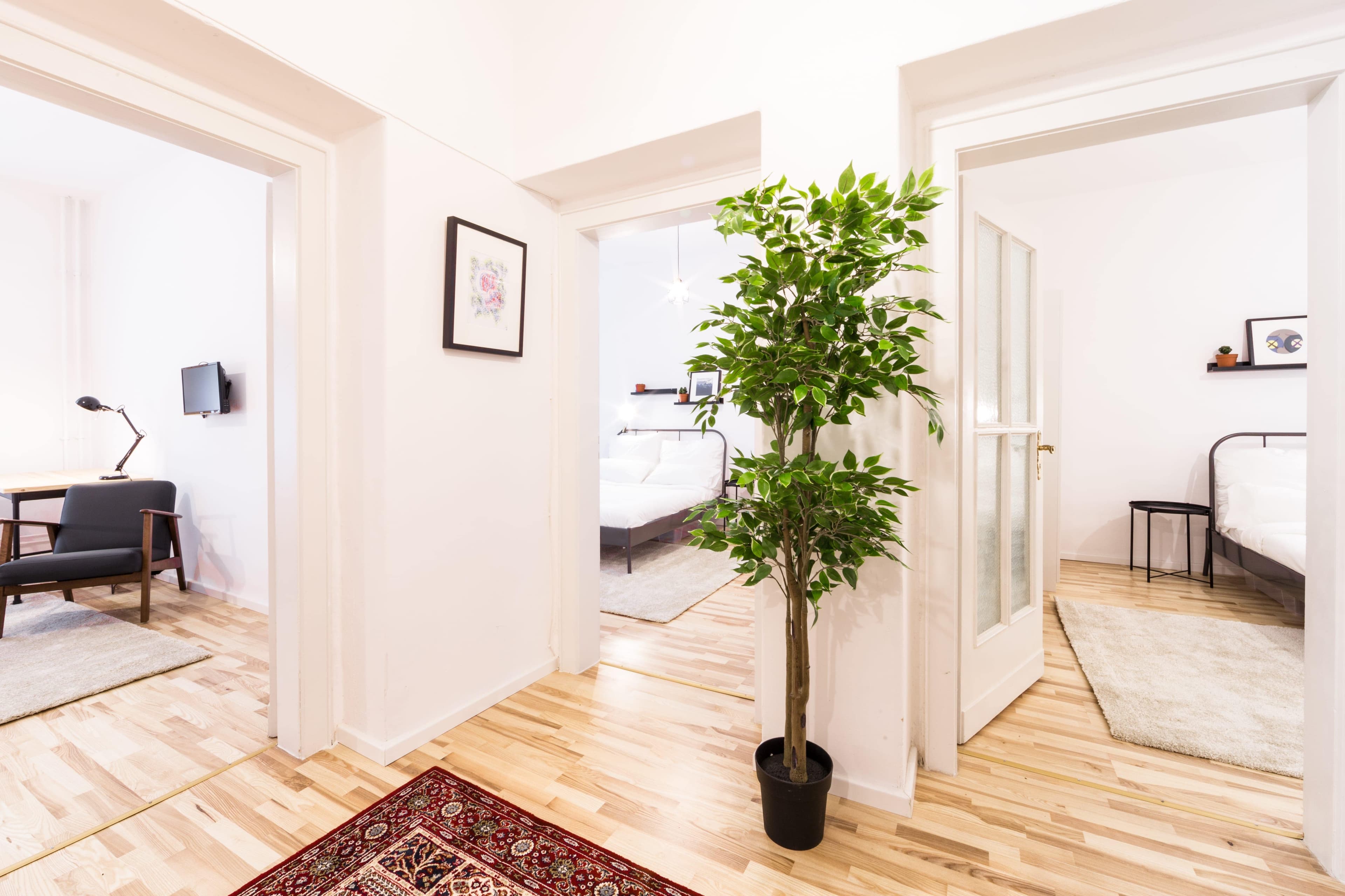 Image of the room