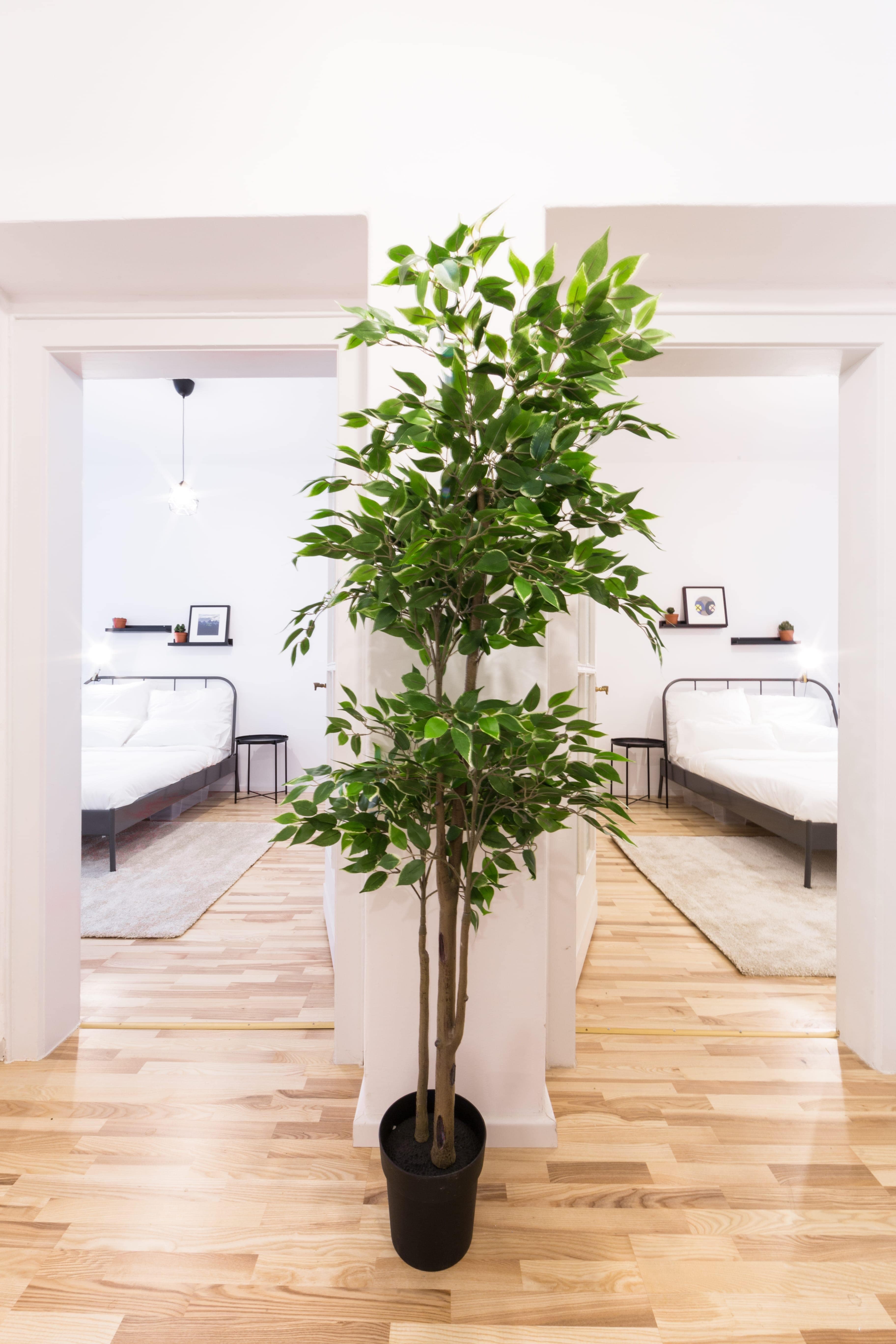 Image of the room