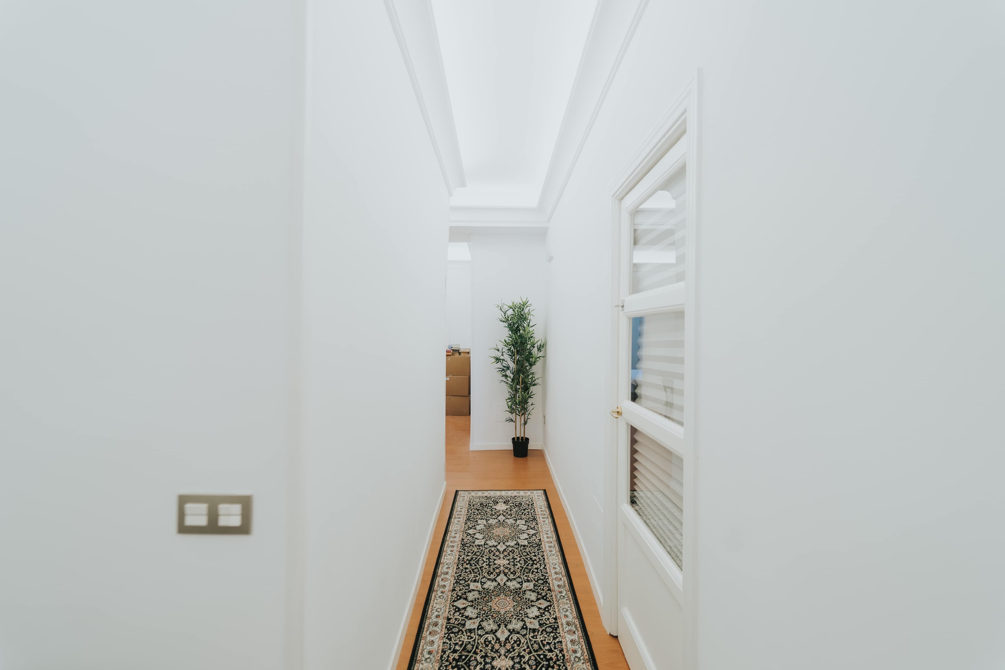Image of the room