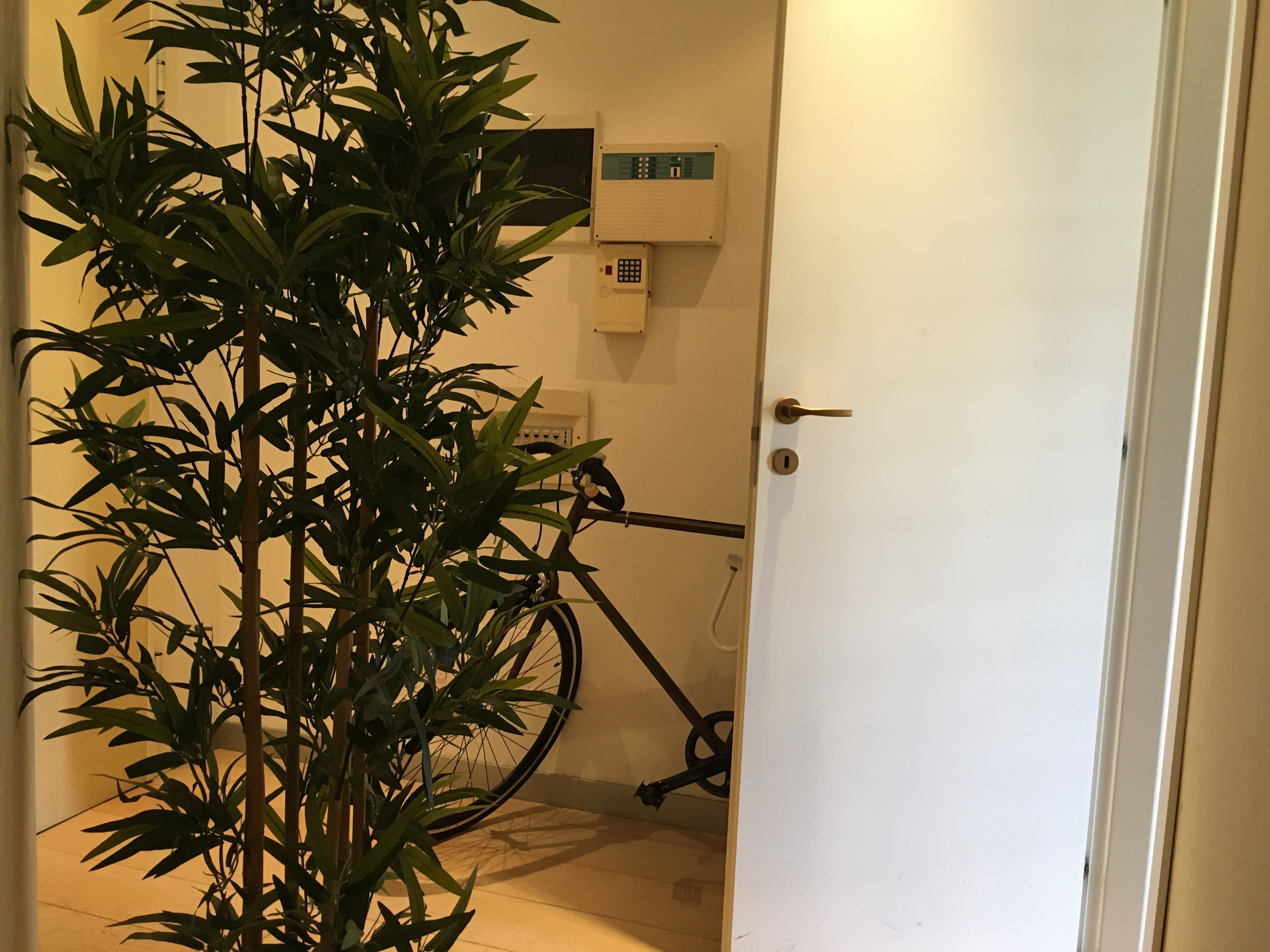 Image of the room