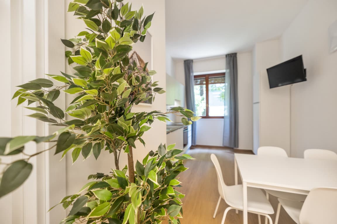 Image of the room